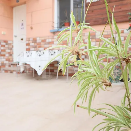 Happy Guest house Granadilla De Abona