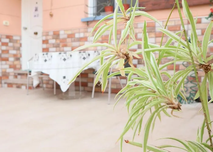 Happy Guest house Granadilla De Abona