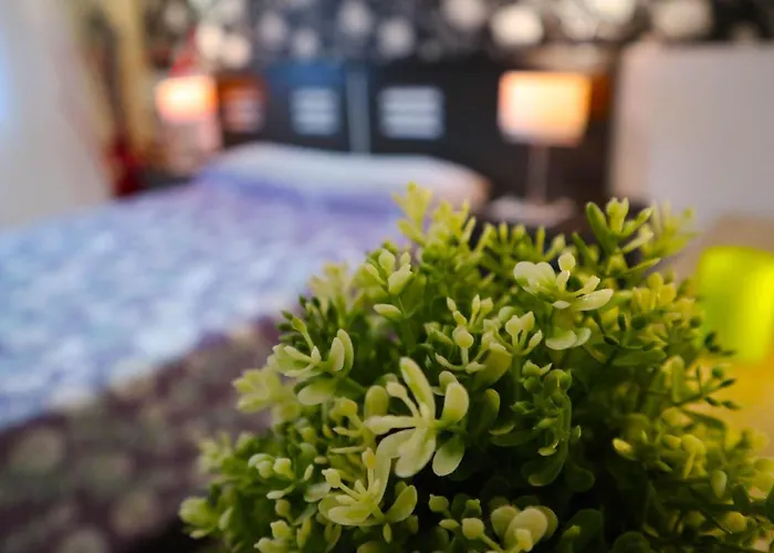 Casa de hóspedes Happy